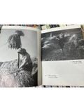  Vietnam Our Beloved Land – Nguyễn Cao Đàm, Trần Cao Lĩnh 