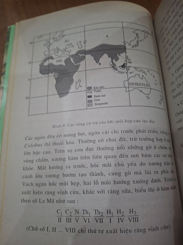  Nguồn Gốc Loài Người Trong Tiến Hóa – Nguyễn Đình Khoa 