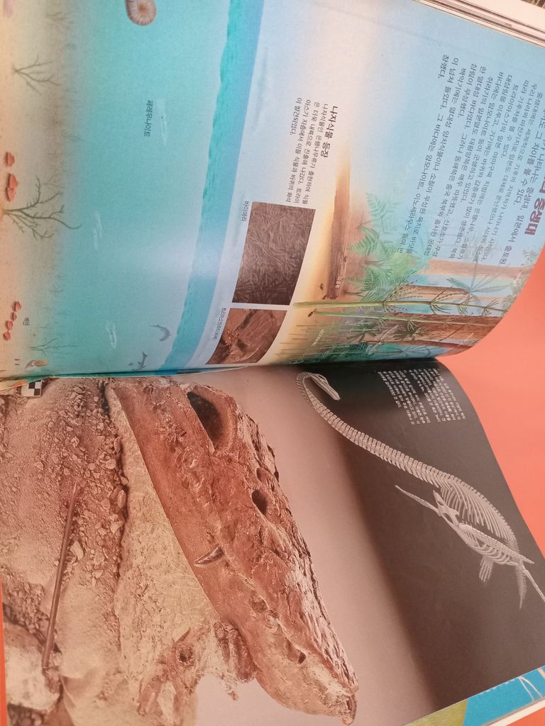  Sách Tiếng Hàn 24 