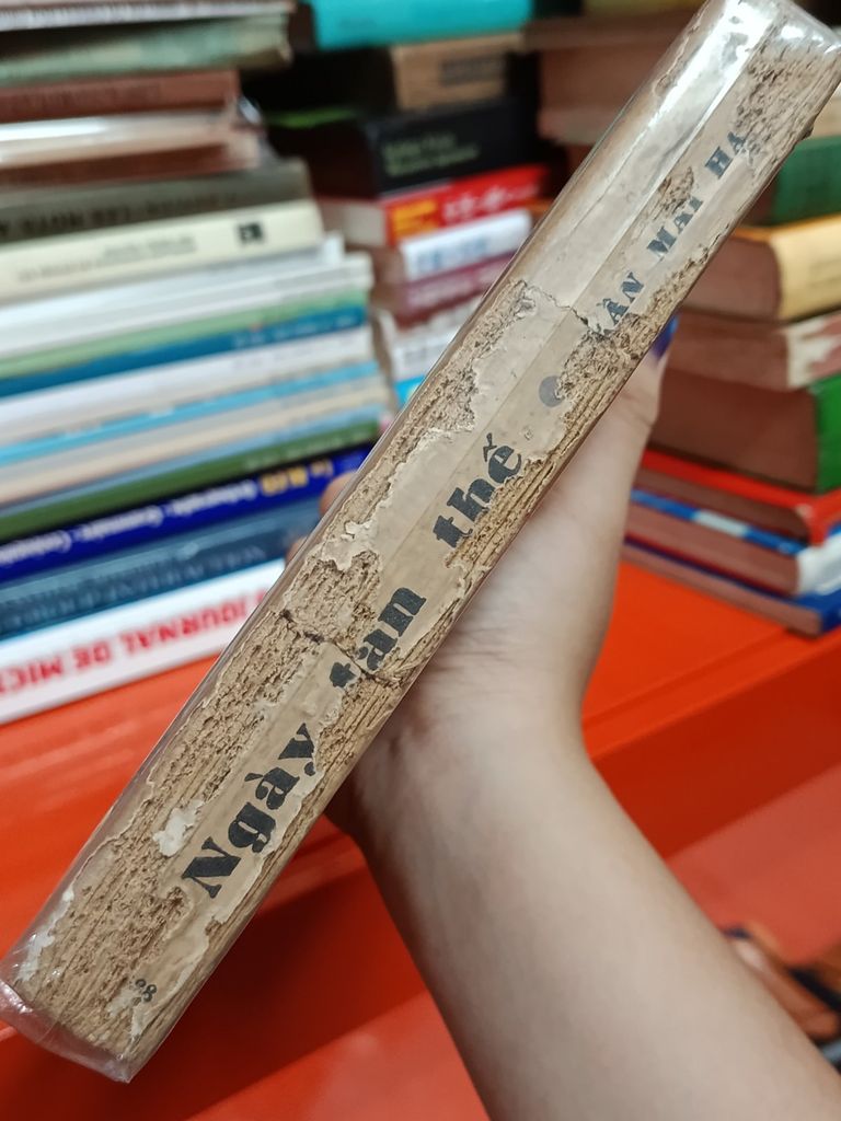  Ngày Tận Thế – Trần Mai Hạnh 