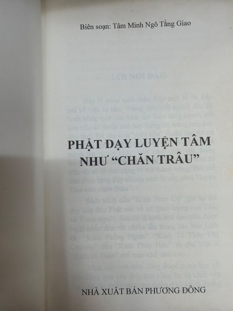  Phật Dạy Luyện Tâm Như Chăn Trâu – Tâm Minh Ngô Tăng Giao 