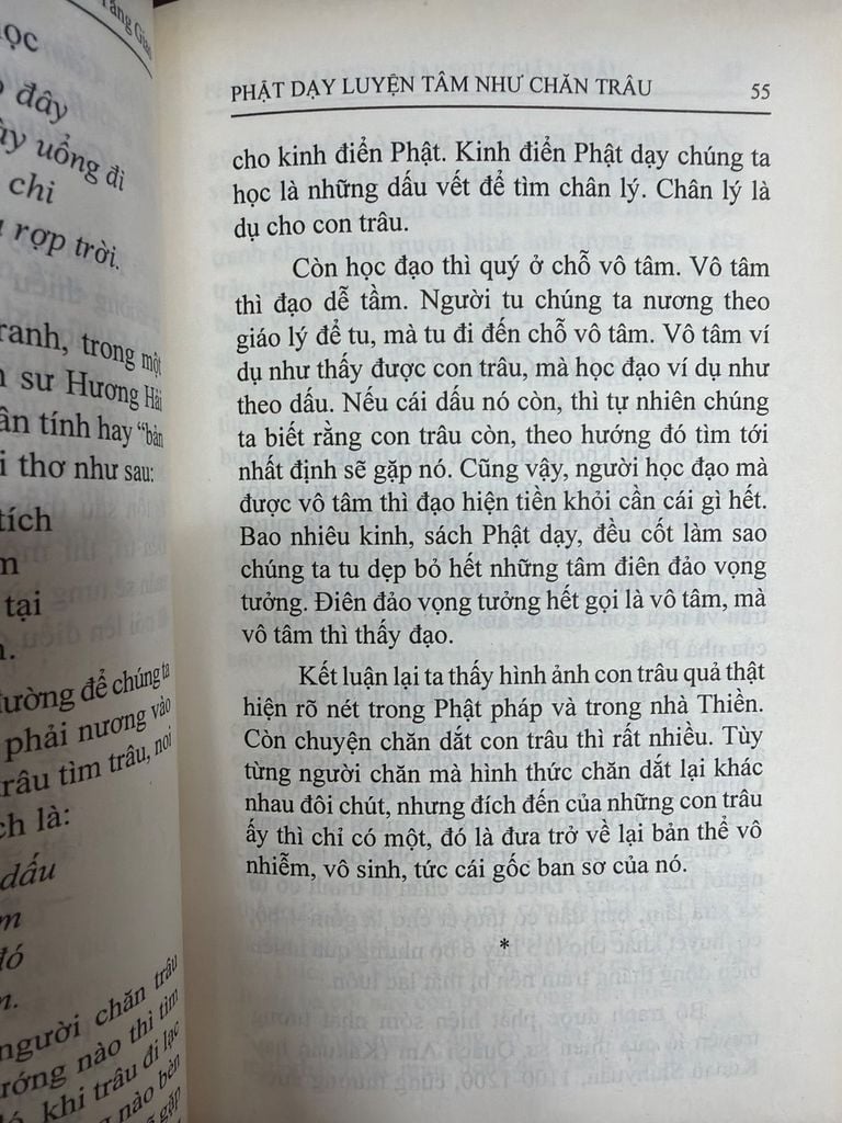  Phật Dạy Luyện Tâm Như Chăn Trâu – Tâm Minh Ngô Tăng Giao 