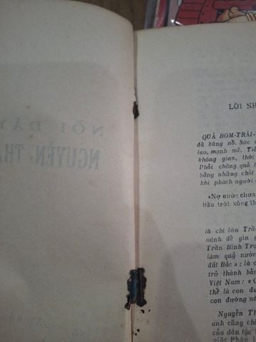  Nổi Dậy Của Nguyễn Thái Bình – Phương Kim 