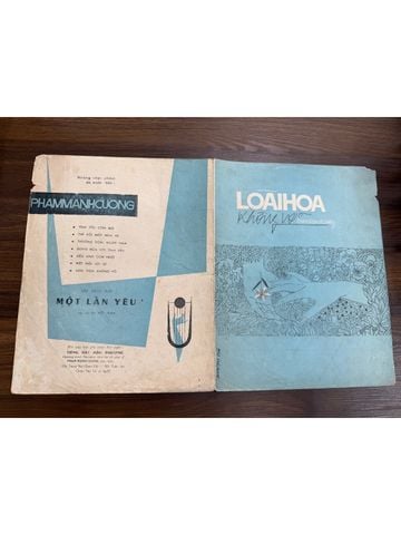  Loài Hoa Không Vỡ – Phạm Mạnh Cương 