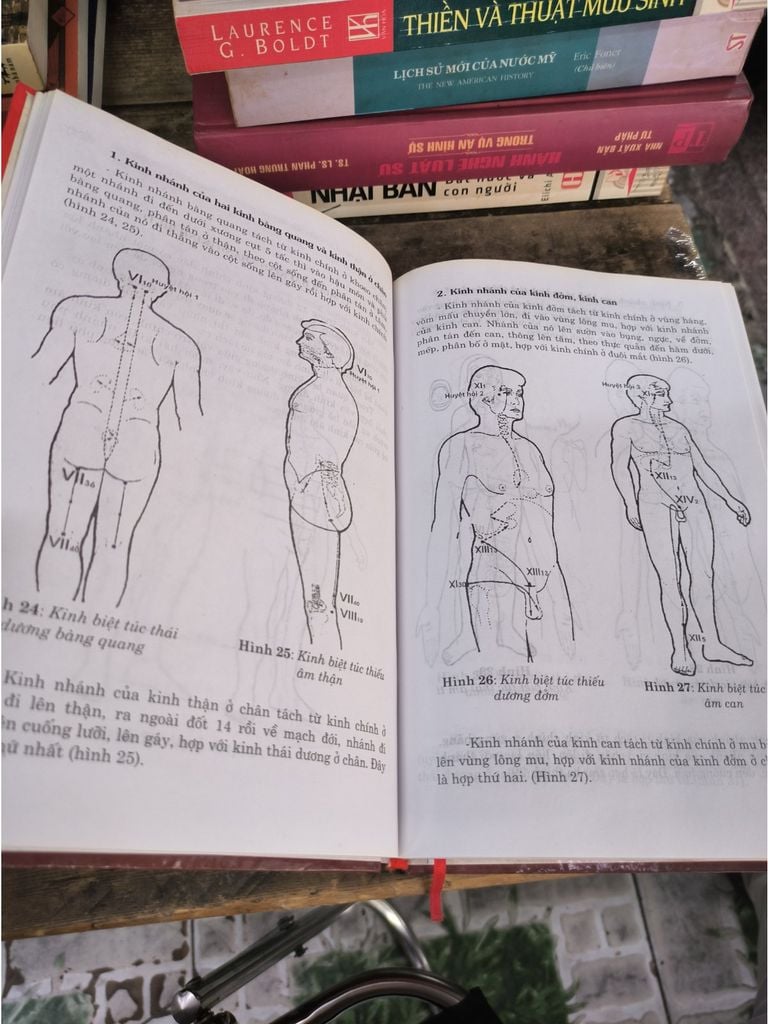  Nhịp Sinh Học Với Dịch Học Trong Văn Hóa Phương Đông – Nguyễn Thế Vững 