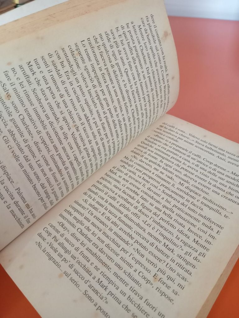  Il Cottage – Danielle Steel 