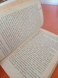  Il Cottage – Danielle Steel 