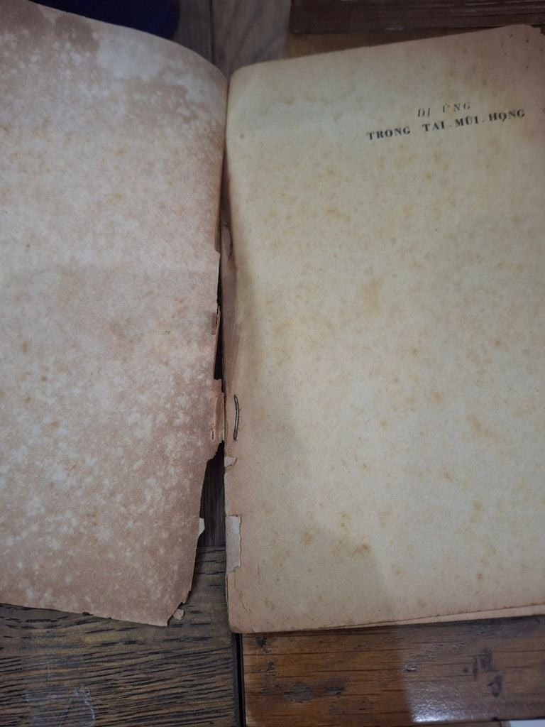  Dị Ứng Trong Tai Mũi Họng – Michel Wayoff 