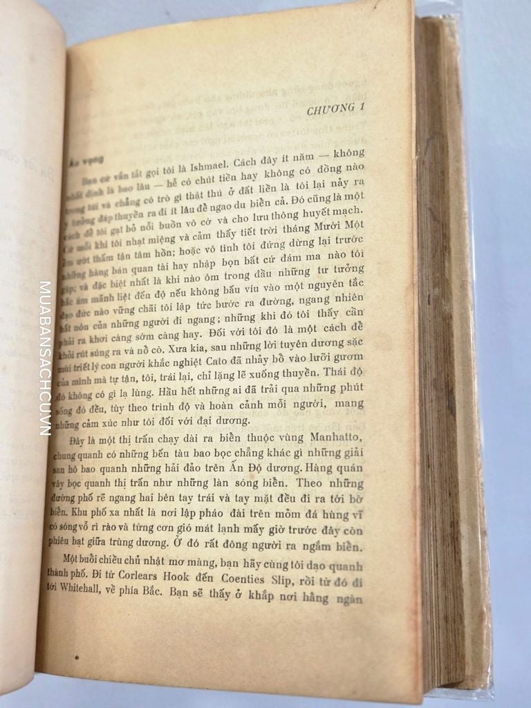  Moby Dick Săn Cá Voi – Herman Melville 