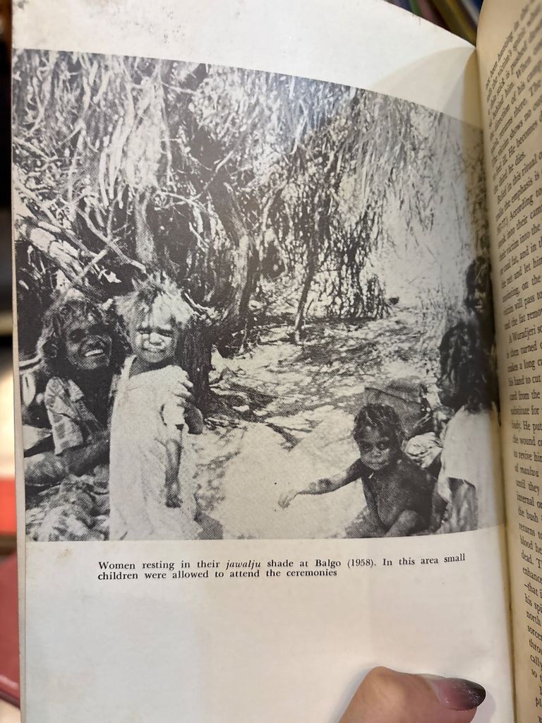 The World Of The First Australians – R. M. & C. H. Berndt 
