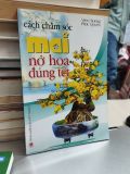  Cách Chăm Sóc Mai Nở Hoa Đúng Tết - Việt Chương, Phúc Quyên 