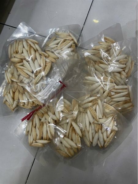 BÁNH ĐUÔNG SỮA DỪA