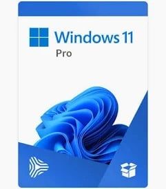 Phần mềm Microsoft Windows 11 Pro (Bản vật lý)