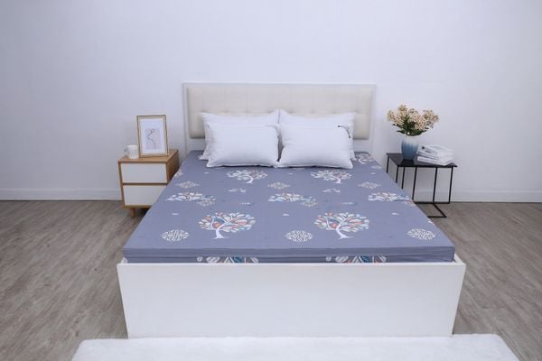  Đệm bông tinh khiết Adore SH_DC25 501 
