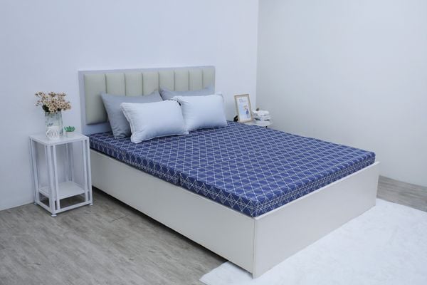  Đệm bông tinh khiết Adore SH_DC25 504 