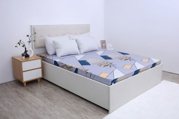  Đệm bông tinh khiết Adore SH_DC25 503 