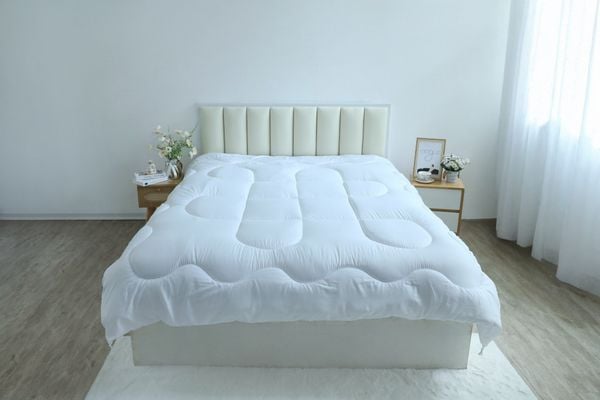  Ruột chăn đông mỏng 