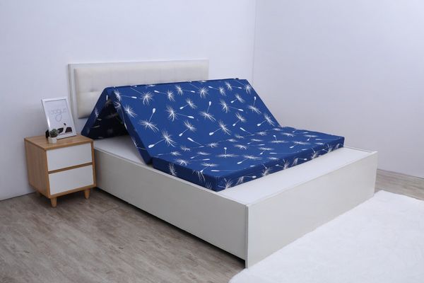  Đệm bông tinh khiết Adore SH_DC25 502 