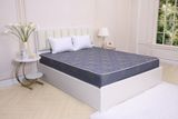  Đệm bông tinh khiết TH3 SH_DF26 305 