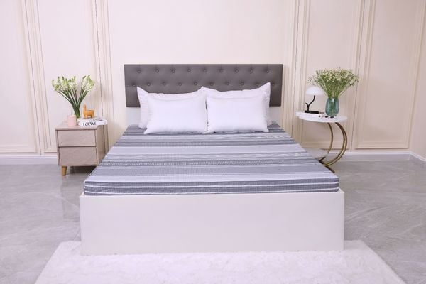  Đệm bông tinh khiết Cool Fiber SH_DC25 508 