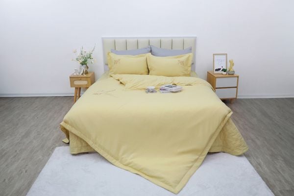  Bộ sản phẩm SH_AC25 206 