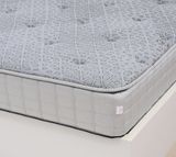  Đệm Back Essential SH_DB22 002 