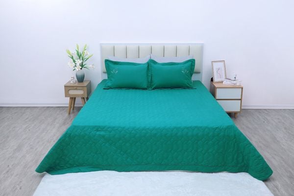  Bộ sản phẩm SH_AC25 204 
