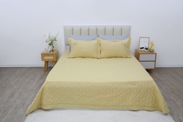  Bộ sản phẩm SH_AC25 206 