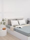  Đệm bông tinh khiết TH3 SH_DF21 002 