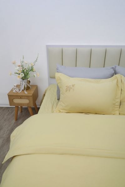  Bộ sản phẩm SH_AC25 206 