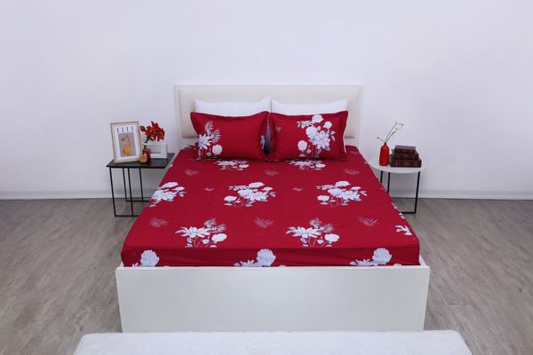  Bộ sản phẩm SH_AC25 102 