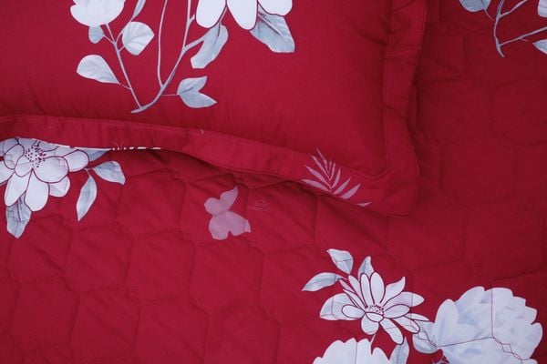  Bộ sản phẩm SH_AC25 102 