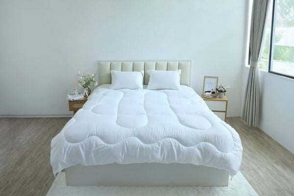  Ruột chăn đông mỏng 