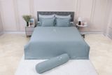  Chăn ga gối cotton SH_BC26 202 