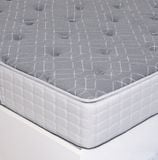  Đệm Back Essential SH_DB22 003 
