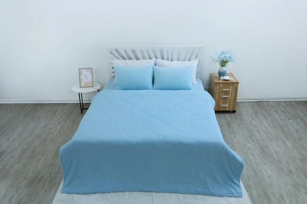  Chăn xuân thu CM CLS 