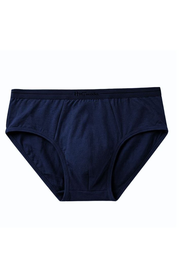 Quần lót nam HMTmoda JB1-1621