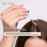  Dầu Oliu nguyên chất (Olive) 