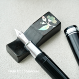  Bút Máy Sailor Professional Gear 21K - GINZA SILVER 