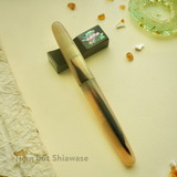  Bút Máy Wancher Tsuno 