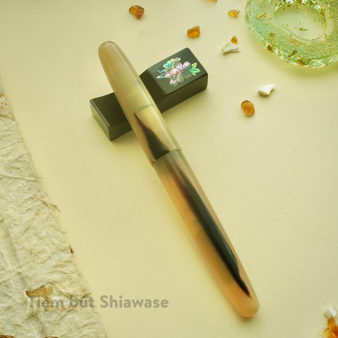  Bút Máy Wancher Tsuno 