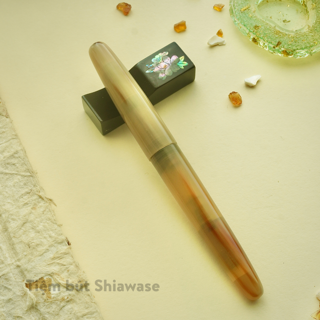  Bút Máy Wancher Tsuno 