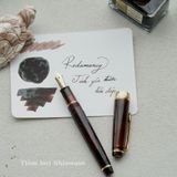  Bút Máy WancherxSailor Mocha Brown 14K 