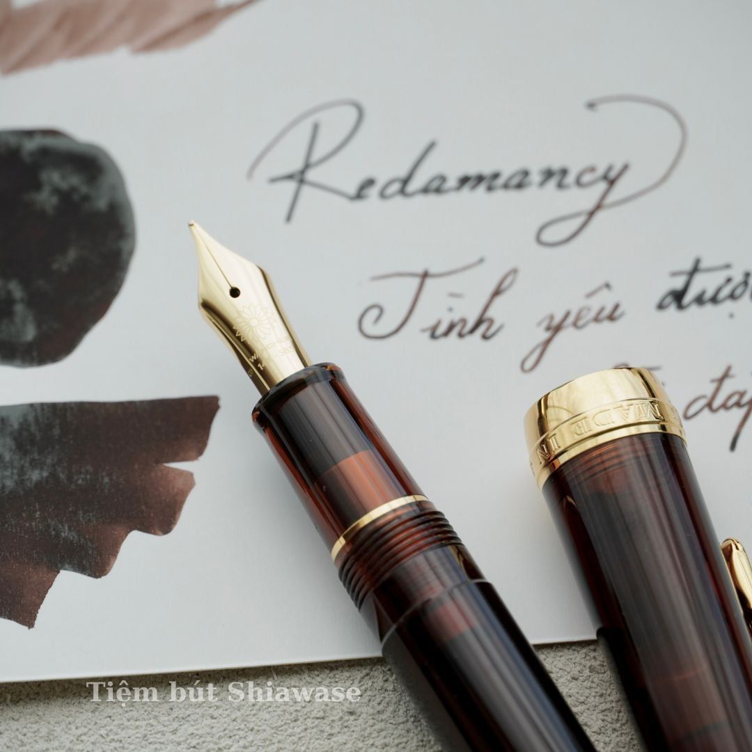  Bút Máy WancherxSailor Mocha Brown 14K 