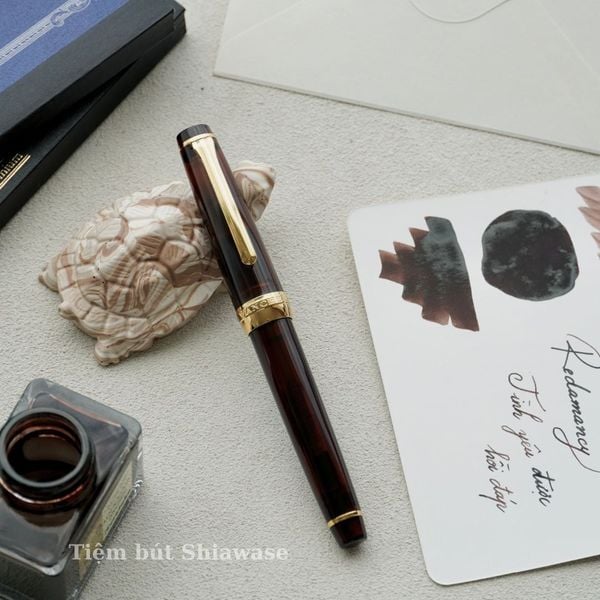  Bút Máy WancherxSailor Mocha Brown 14K 
