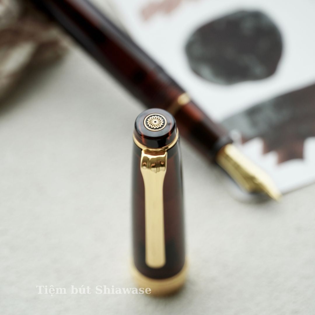  Bút Máy WancherxSailor Mocha Brown 14K 