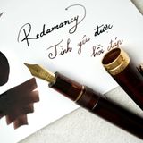  Bút Máy WancherxSailor Mocha Brown 14K 