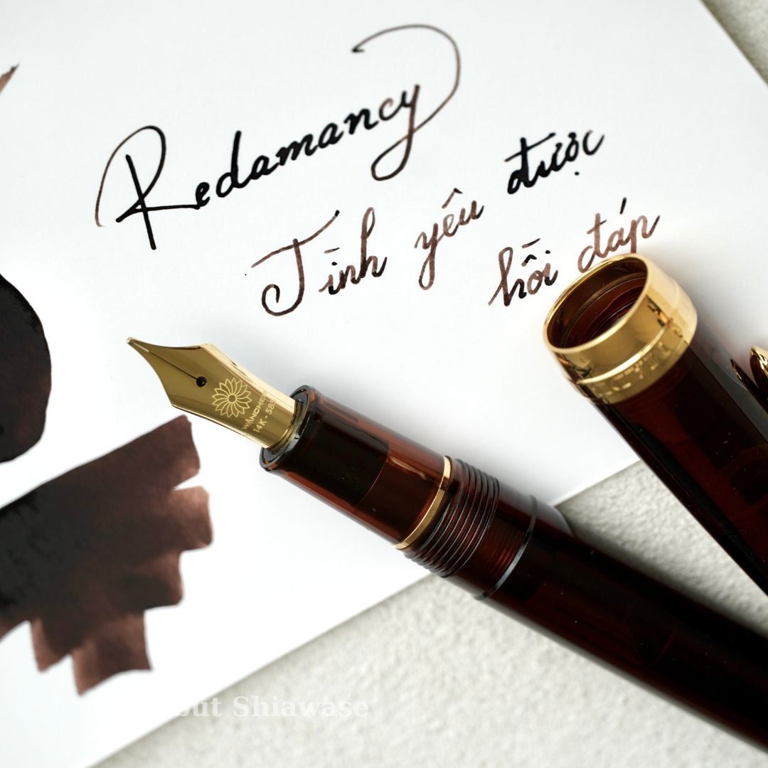  Bút Máy WancherxSailor Mocha Brown 14K 
