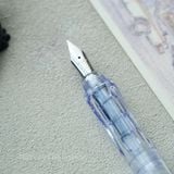  Bút Máy Pilot Calligraphy 