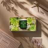  Set quà Make a Wish – hương cỏ xạ hương, quýt 